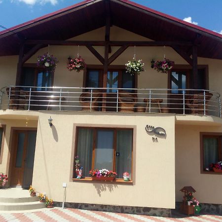 Casa Infinity Hotel Sovata Bagian luar foto