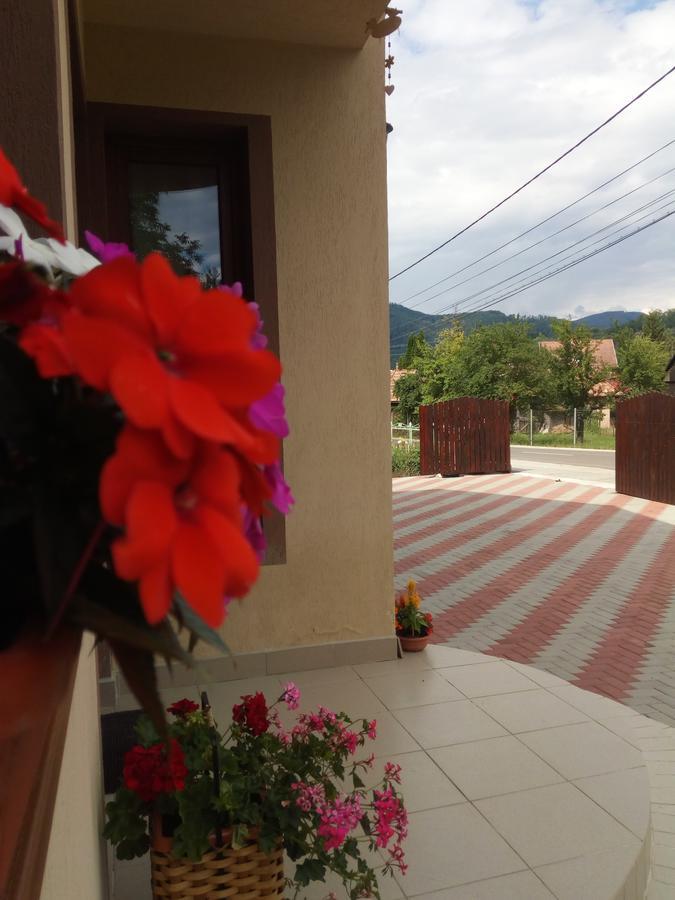 Casa Infinity Hotel Sovata Bagian luar foto