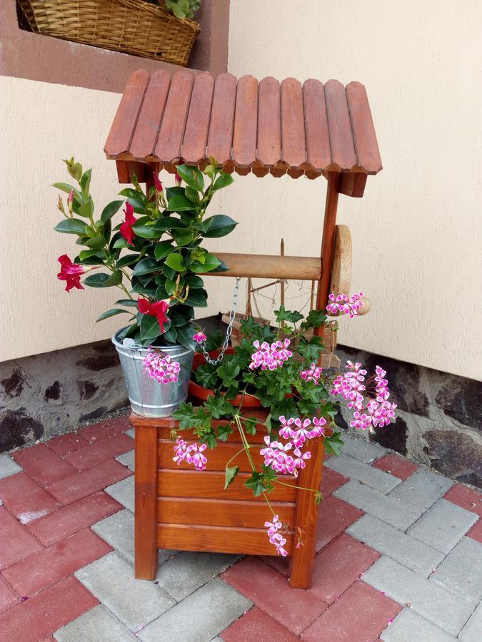 Casa Infinity Hotel Sovata Bagian luar foto