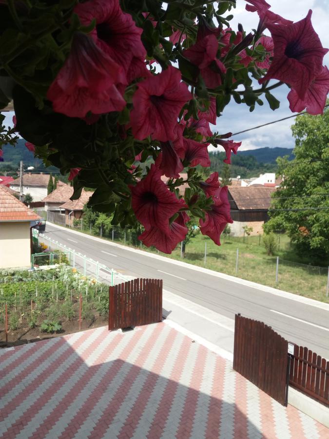 Casa Infinity Hotel Sovata Bagian luar foto